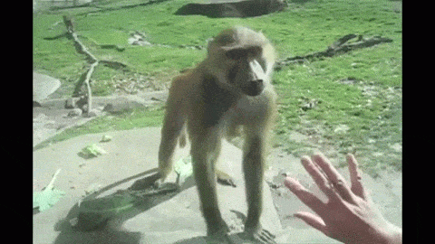https://upforme.ru/uploads/001a/1f/30/18/t75464.gif