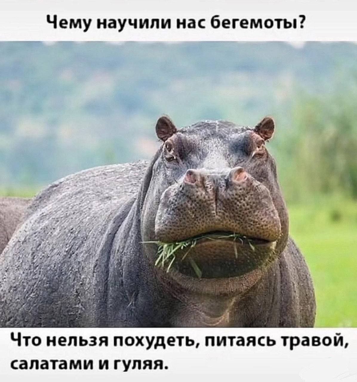 https://upforme.ru/uploads/001a/1f/30/2/26455.jpg