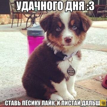 https://upforme.ru/uploads/001a/1f/30/6/t17286.jpg