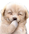 https://upforme.ru/uploads/001a/1f/30/6/t517836.gif