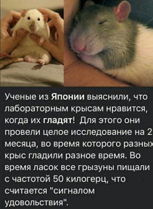 https://upforme.ru/uploads/001a/1f/30/73/t247383.jpg