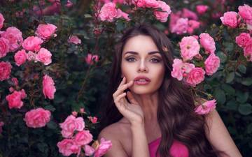 https://upforme.ru/uploads/001a/28/01/3/t401133.jpg
