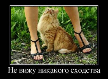https://upforme.ru/uploads/001a/28/01/4/t108506.jpg