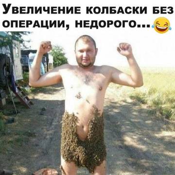 https://upforme.ru/uploads/001a/28/01/4/t25883.jpg