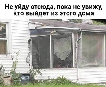 https://upforme.ru/uploads/001a/28/01/4/t502258.jpg