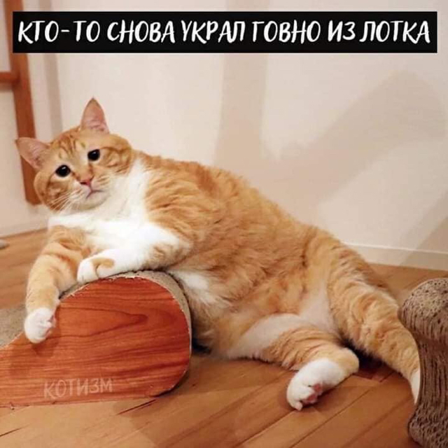https://upforme.ru/uploads/001a/2e/af/131/13345.jpg