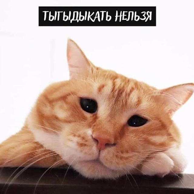 https://upforme.ru/uploads/001a/2e/af/131/44863.jpg