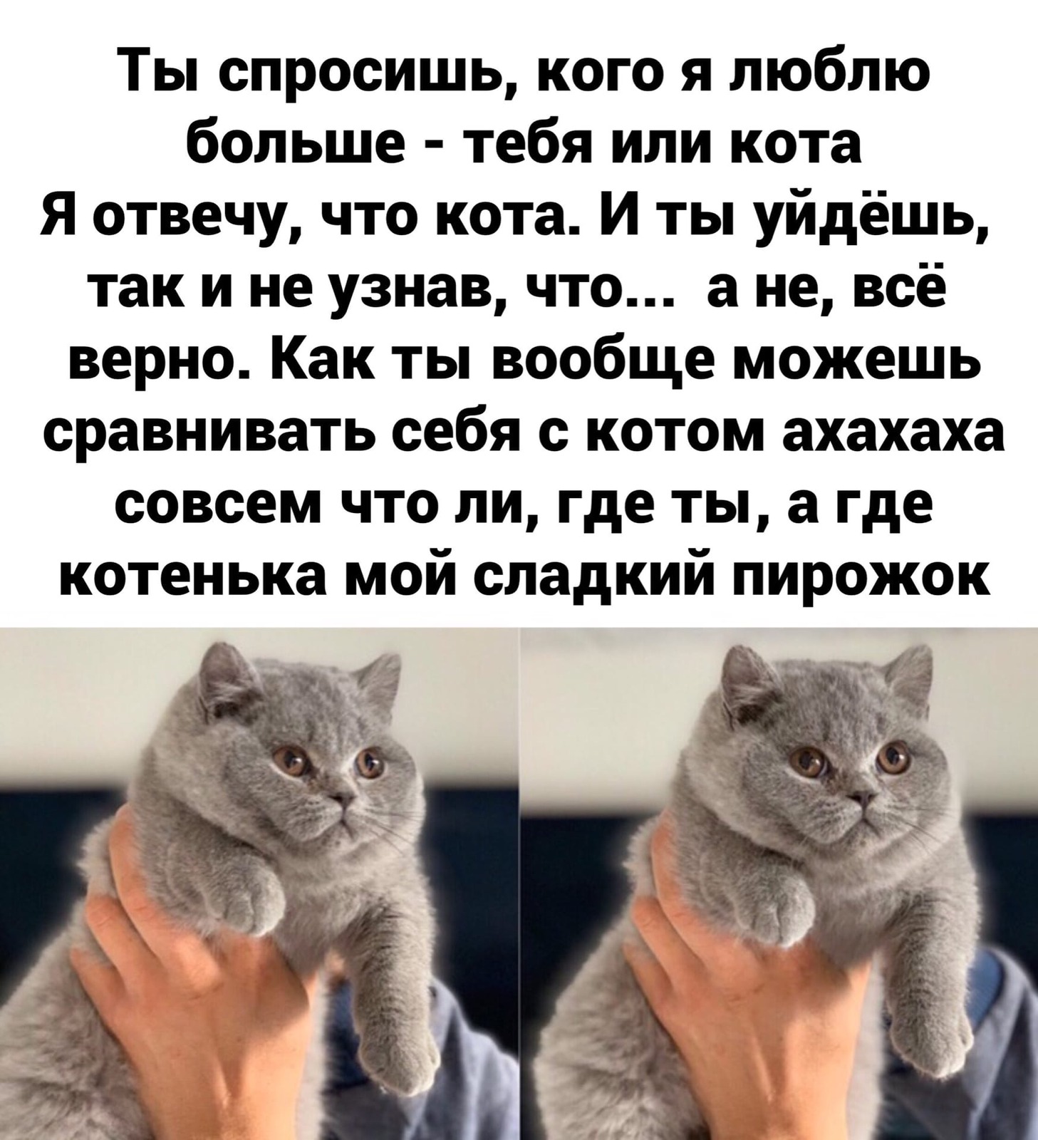 https://upforme.ru/uploads/001a/2e/af/131/67251.jpg