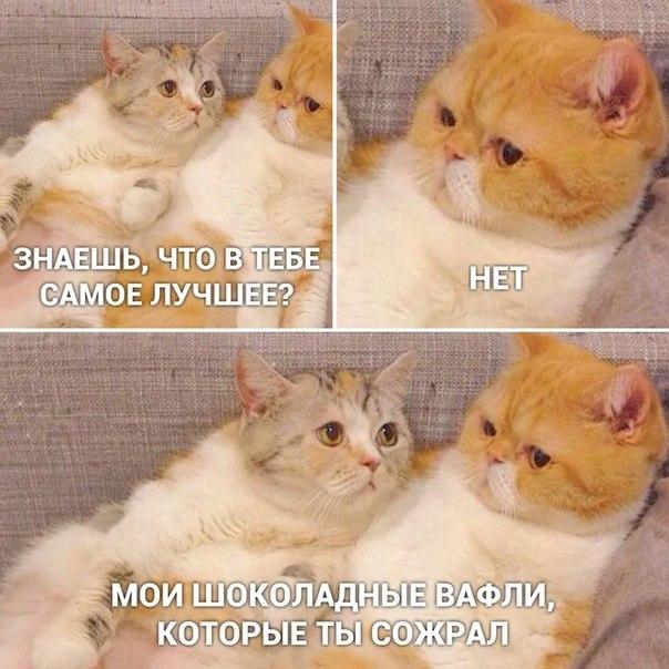 https://upforme.ru/uploads/001a/2e/af/131/76211.jpg