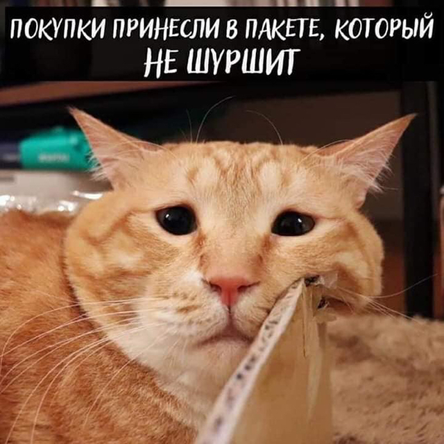 https://upforme.ru/uploads/001a/2e/af/131/77813.jpg