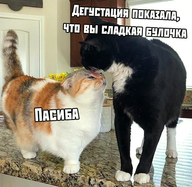 https://upforme.ru/uploads/001a/2e/af/131/78125.png