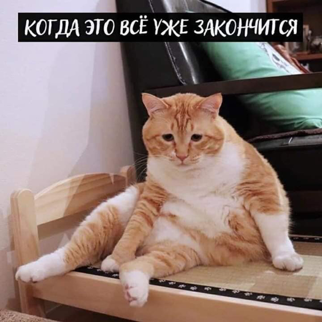 https://upforme.ru/uploads/001a/2e/af/131/86464.jpg