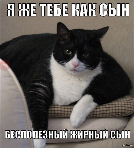 https://upforme.ru/uploads/001a/2e/af/131/91456.jpg
