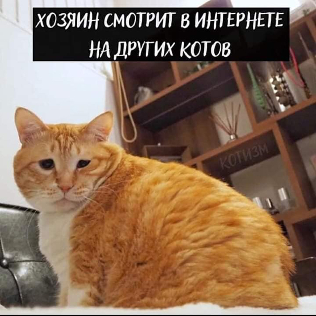 https://upforme.ru/uploads/001a/2e/af/131/97089.jpg