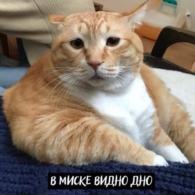 https://upforme.ru/uploads/001a/2e/af/131/98024.jpg