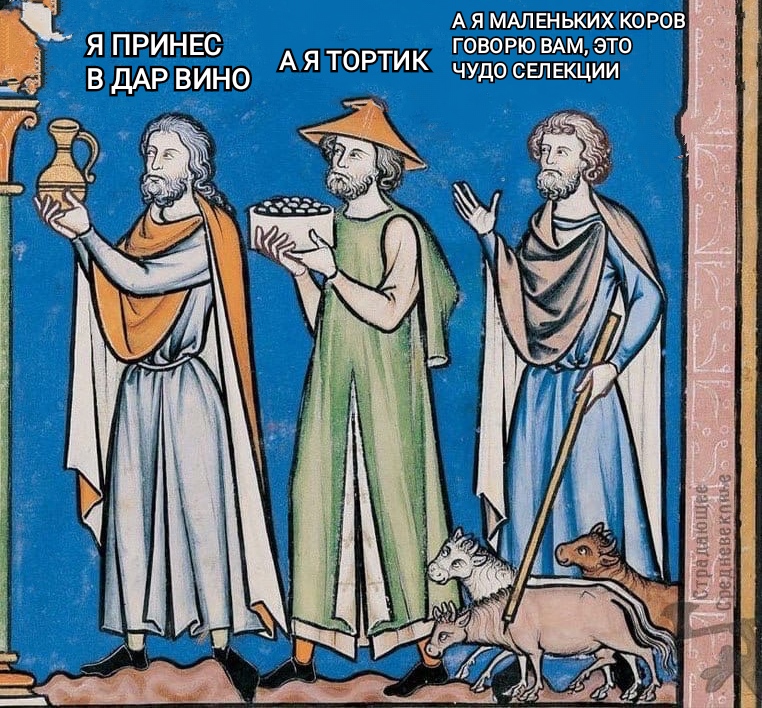https://upforme.ru/uploads/001a/2e/af/154/586321.jpg