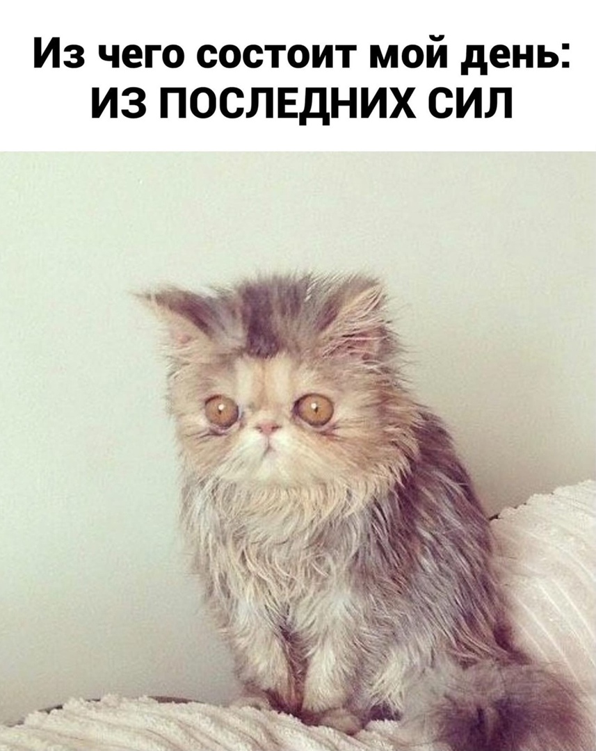 https://upforme.ru/uploads/001a/2e/af/197/681948.jpg