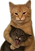 https://upforme.ru/uploads/001a/2e/af/2/245409.png