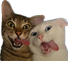 https://upforme.ru/uploads/001a/2e/af/2/696556.png