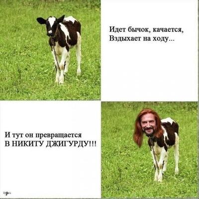 https://upforme.ru/uploads/001a/2e/af/3/173920.jpg