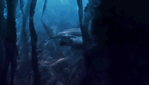 https://upforme.ru/uploads/001a/2e/af/445/237846.gif