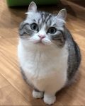 https://upforme.ru/uploads/001a/2e/af/503/380602.jpg