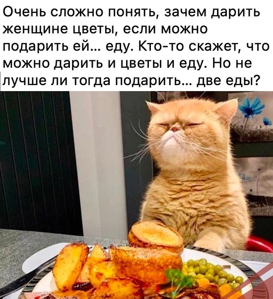 https://upforme.ru/uploads/001a/2e/af/663/250011.jpg