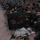 https://upforme.ru/uploads/001a/2e/af/680/653242.png
