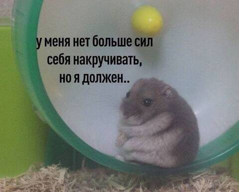 https://upforme.ru/uploads/001a/2e/af/686/t50021.jpg