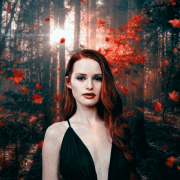 https://upforme.ru/uploads/001a/2e/af/851/t512642.gif