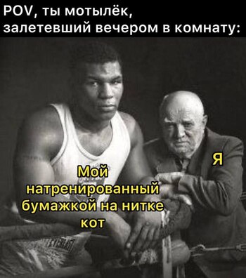 https://upforme.ru/uploads/001a/2e/af/880/192748.jpg