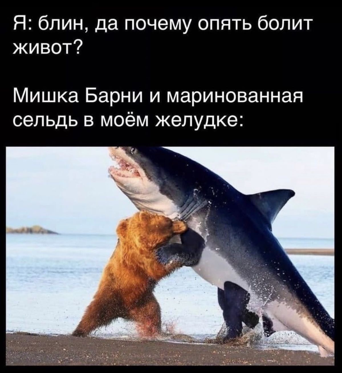 https://upforme.ru/uploads/001a/2e/af/911/216504.jpg