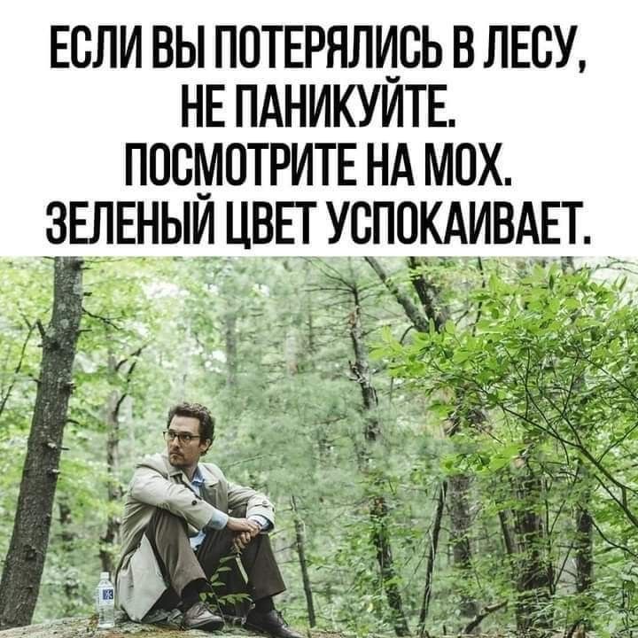 https://upforme.ru/uploads/001a/2e/af/911/44069.jpg