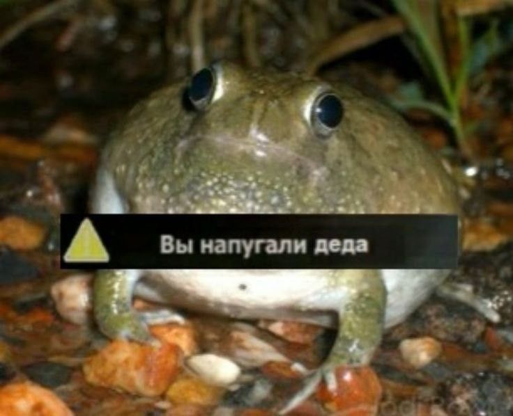 https://upforme.ru/uploads/001a/2e/af/911/71275.jpg