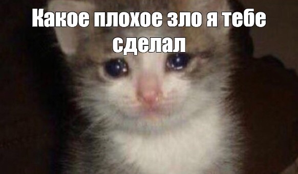 https://upforme.ru/uploads/001a/2e/af/938/272622.jpg