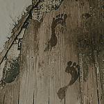 https://upforme.ru/uploads/001a/2e/af/938/560430.png