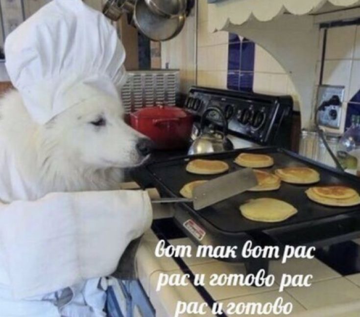 https://upforme.ru/uploads/001a/2e/af/942/409632.jpg