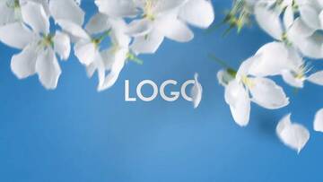 Project After Effects  1700  1800