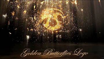  After Effects   300  400