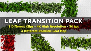 Motion Graphics - Backgrounds