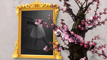 Project After Effects  2600  2700