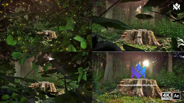 Project After Effects  2400  2500