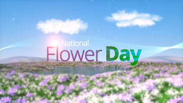 Project After Effects  2800  2900