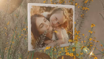 Project After Effects  2700  2800