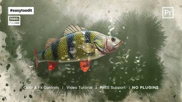  Premiere Pro 100 - 200  Ledvideo