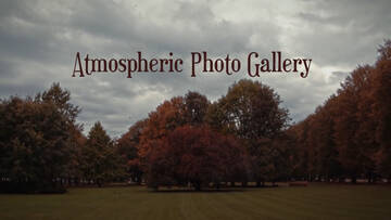 ������� Premiere Pro 1 - 100