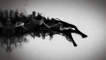 Project After Effects � 1000 �� 1100