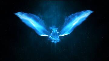 Project After Effects � 1000 �� 1100