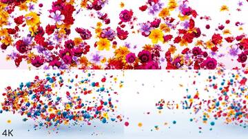 Project After Effects � 1000 �� 1100