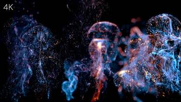 Project After Effects � 1000 �� 1100